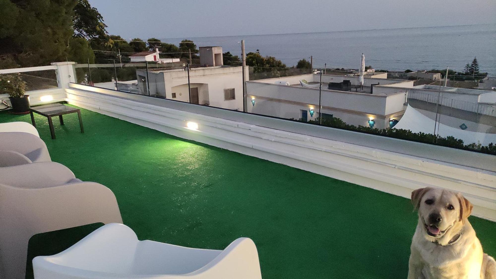 Villa Stella Torre Vado Bagian luar foto